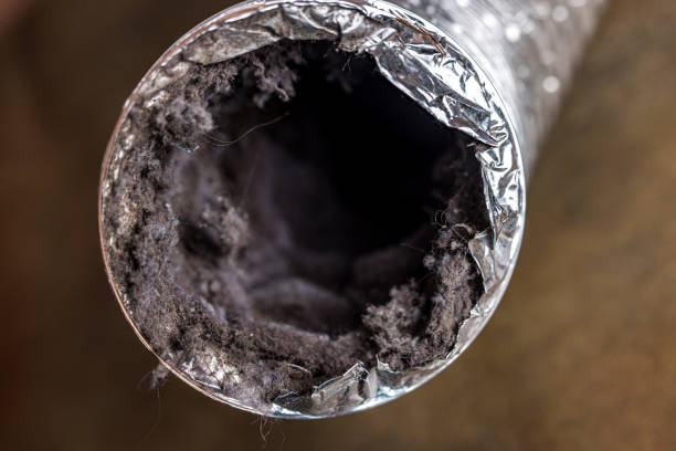 Best Affordable Air Duct Cleaning  in Queen Anne, MD